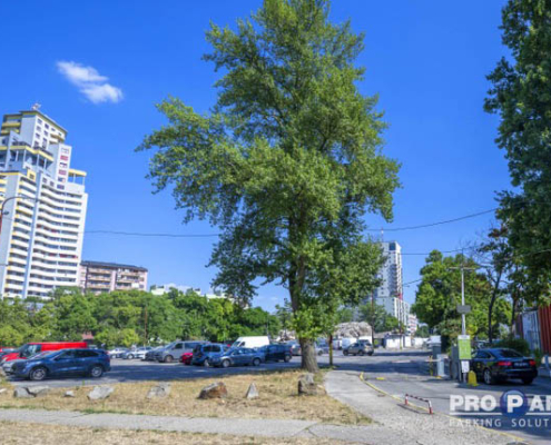 Parkovisko – Trhovisko Miletičova, Bratislava